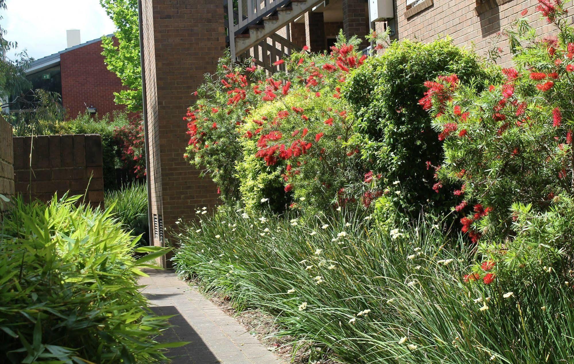 Adelaide Dress Circle Apartments - Archer Street Exterior foto